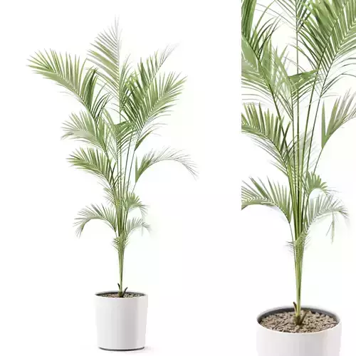 Plant 1248 3D model