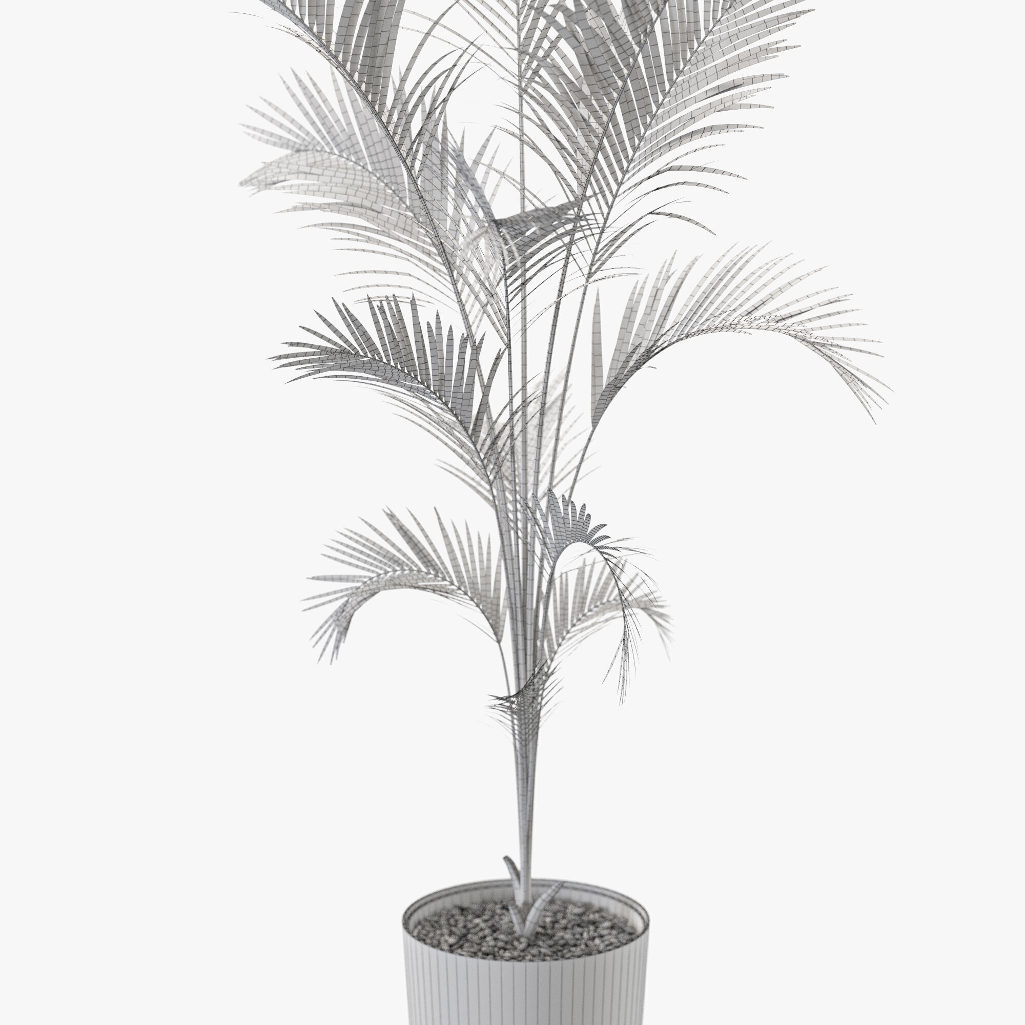 Plant 1248 3D model_5