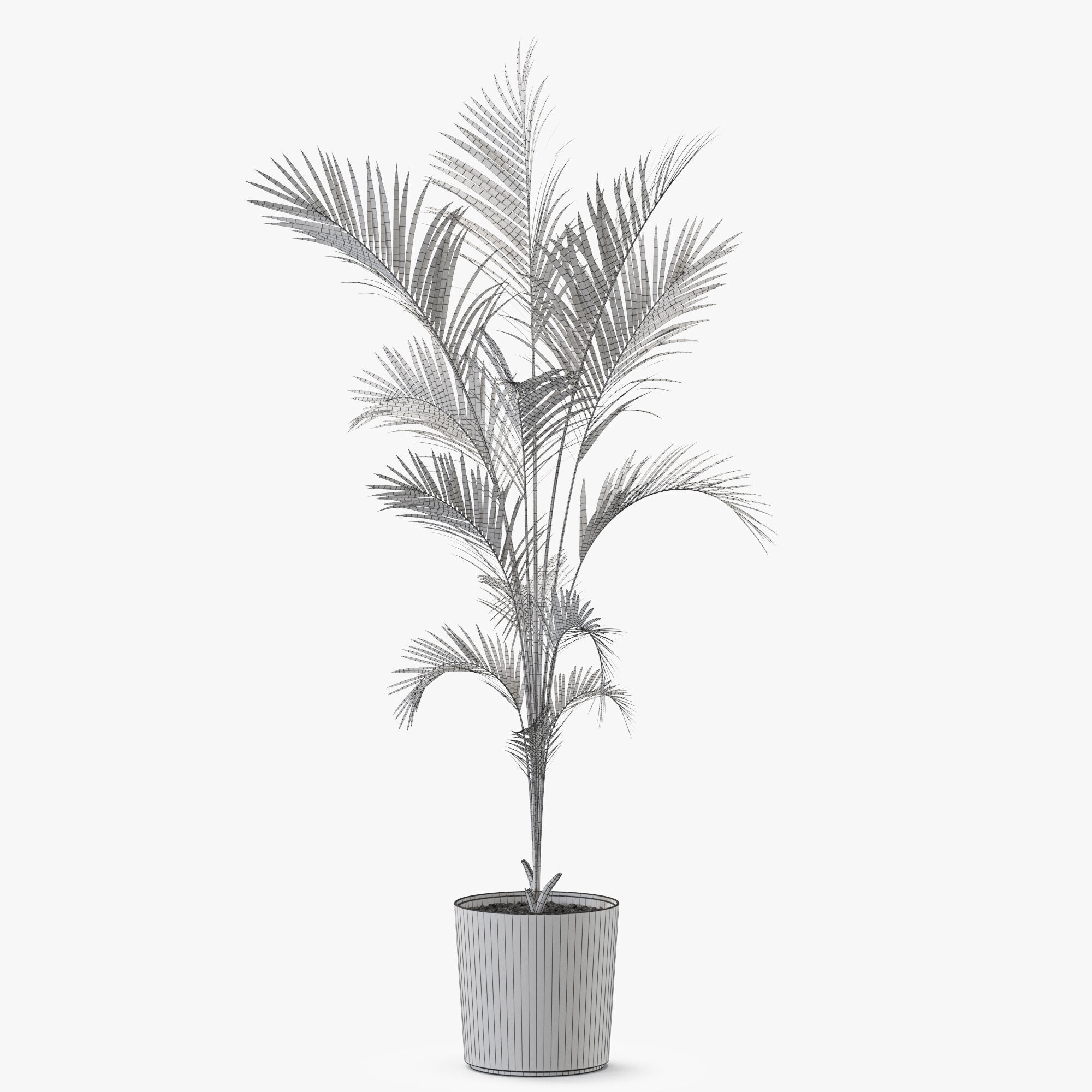Plant 1248 3D model_4