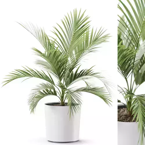 Plant 1249 3D model
