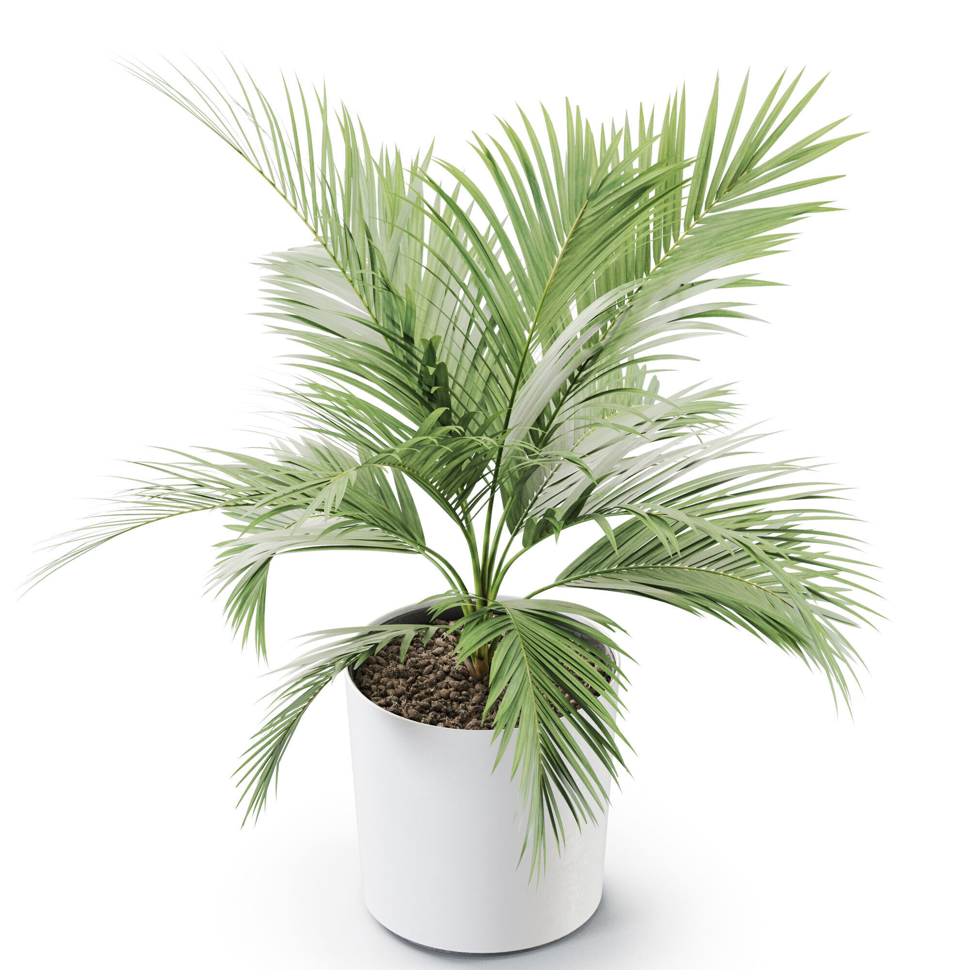 Plant 1249 3D model_3