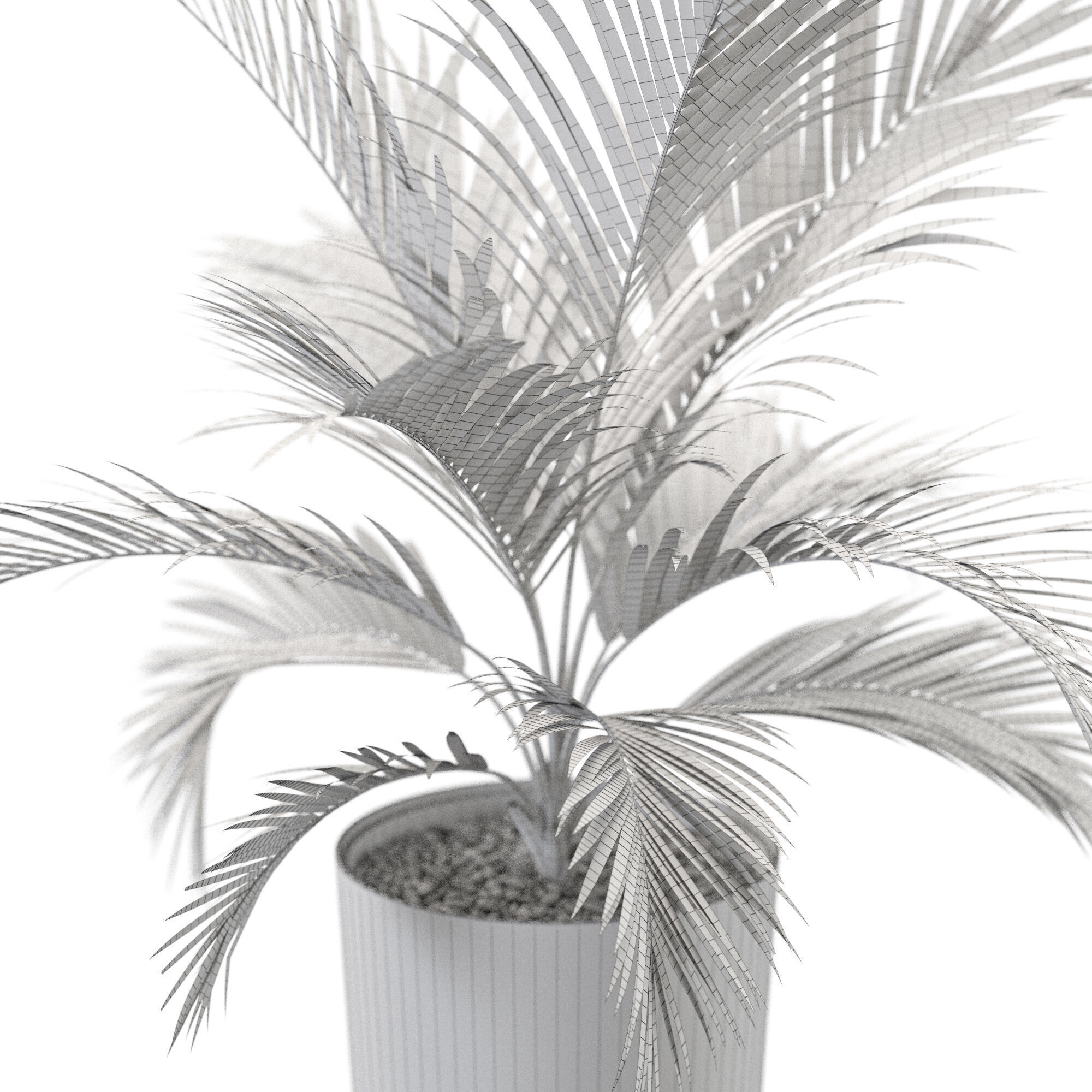 Plant 1249 3D model_5