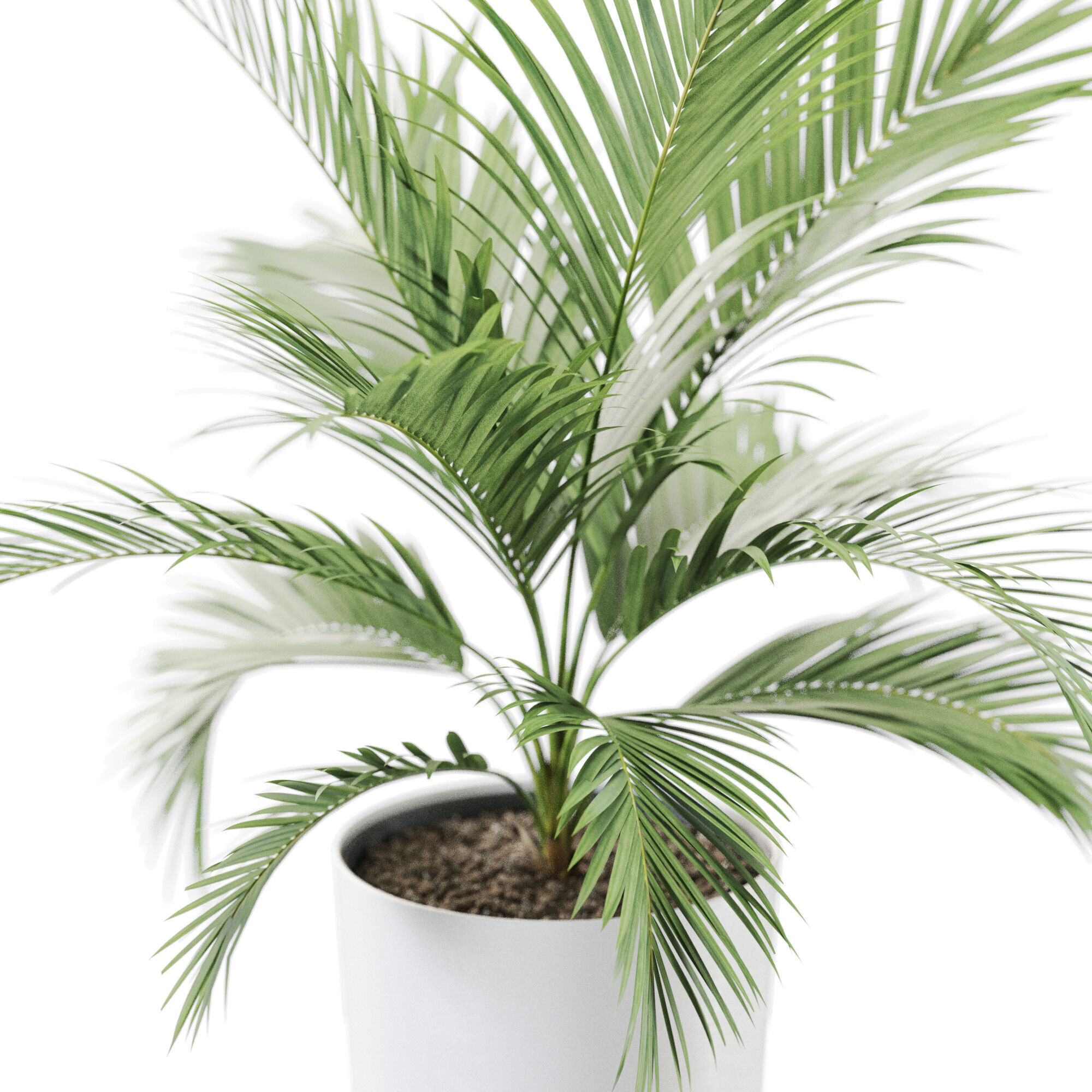 Plant 1249 3D model_2