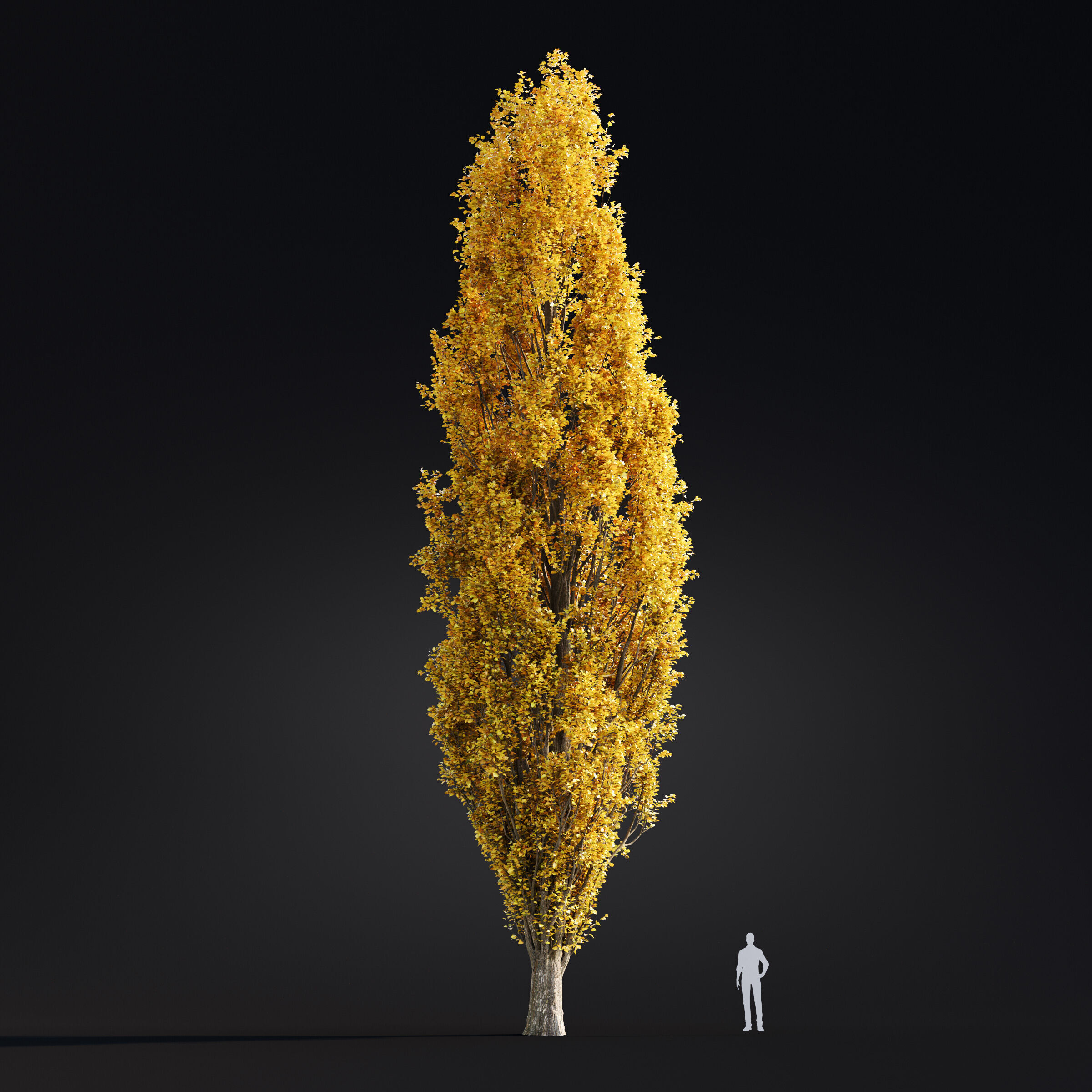 Archmodels vol 299 - summer and autumn trees 3D model_55