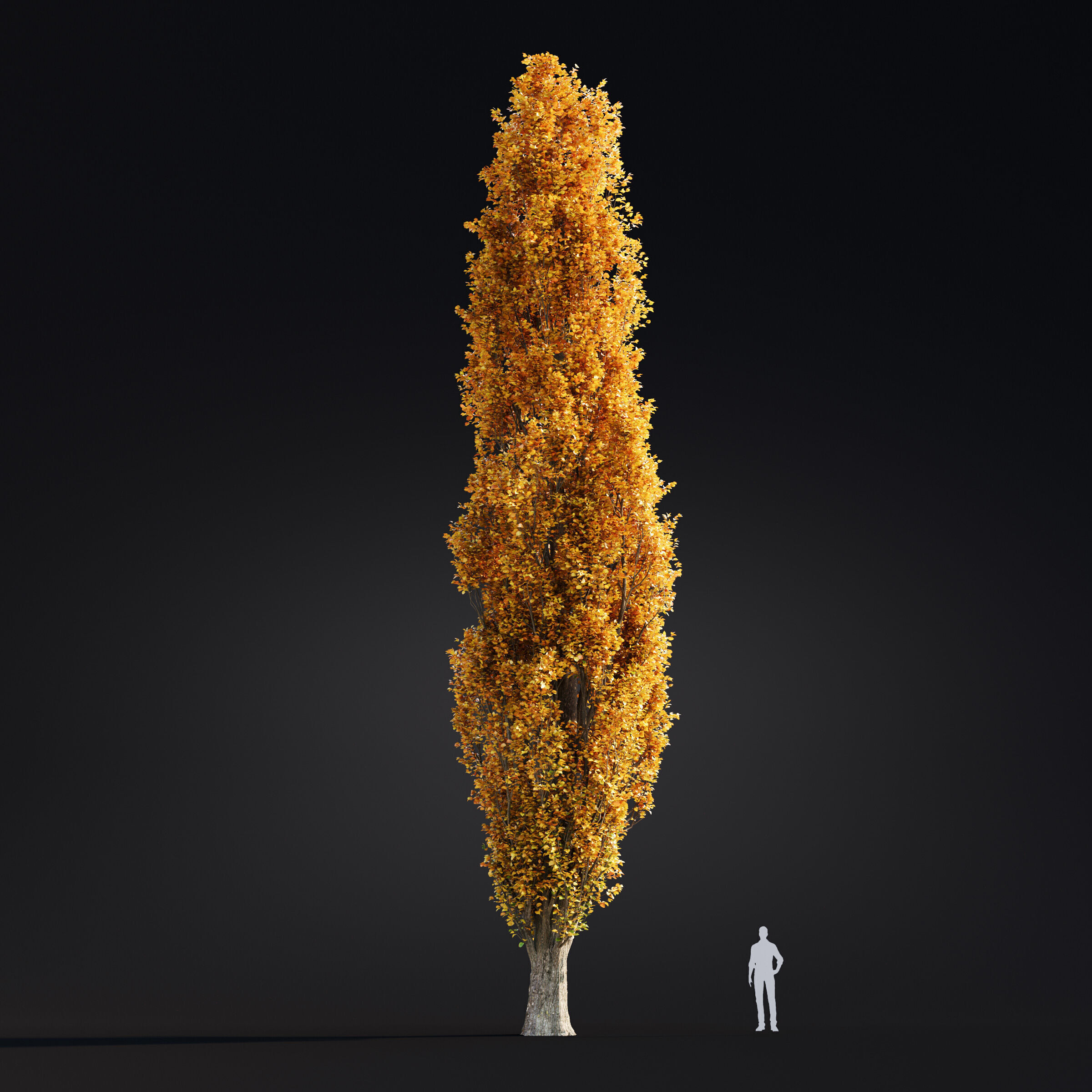 Archmodels vol 299 - summer and autumn trees 3D model_53