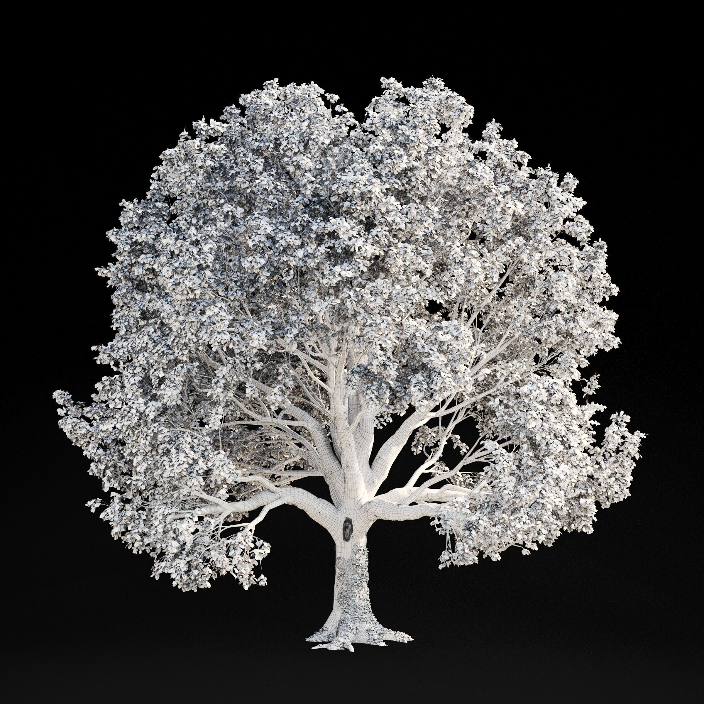 Archmodels vol 299 - summer and autumn trees 3D model_62
