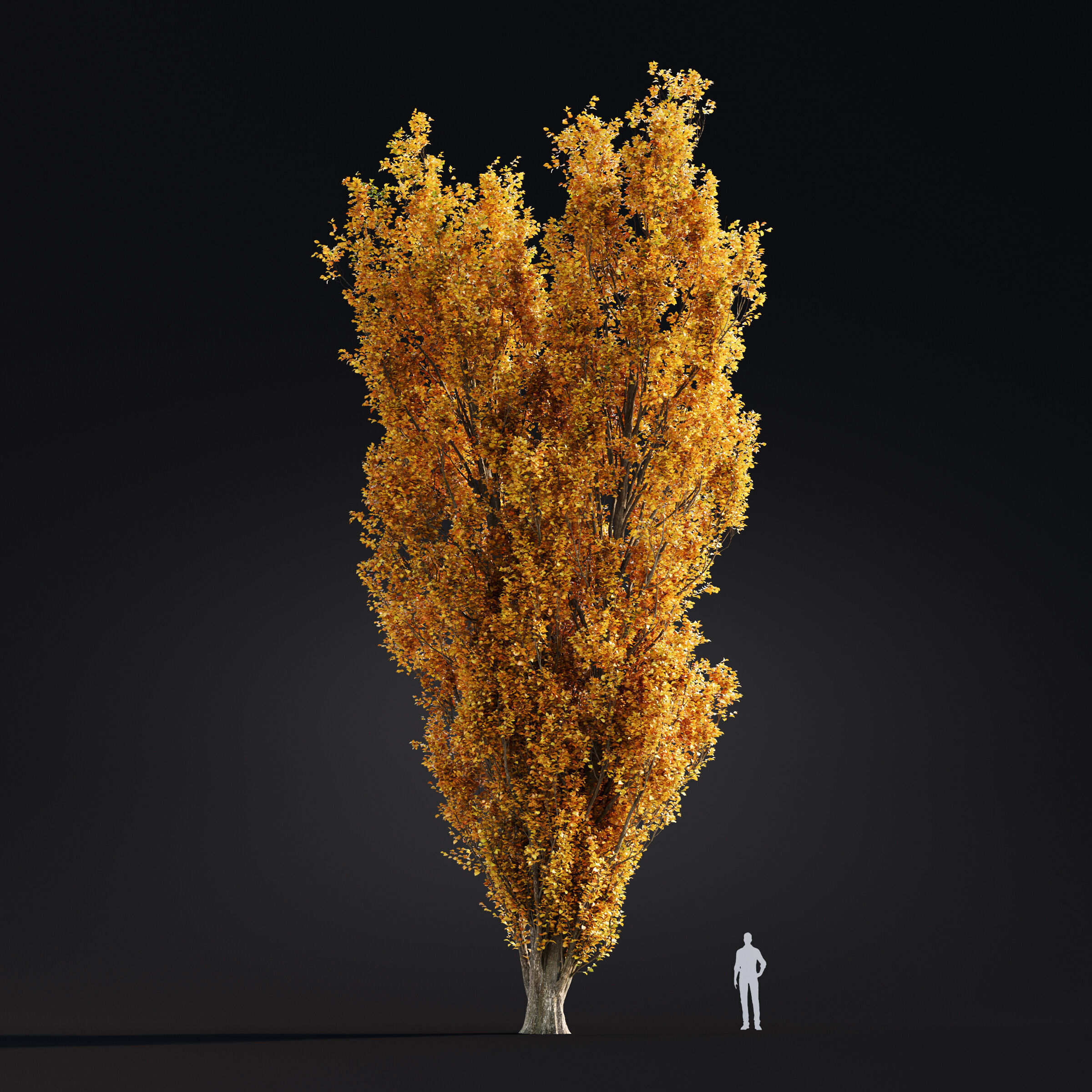 Archmodels vol 299 - summer and autumn trees 3D model_59
