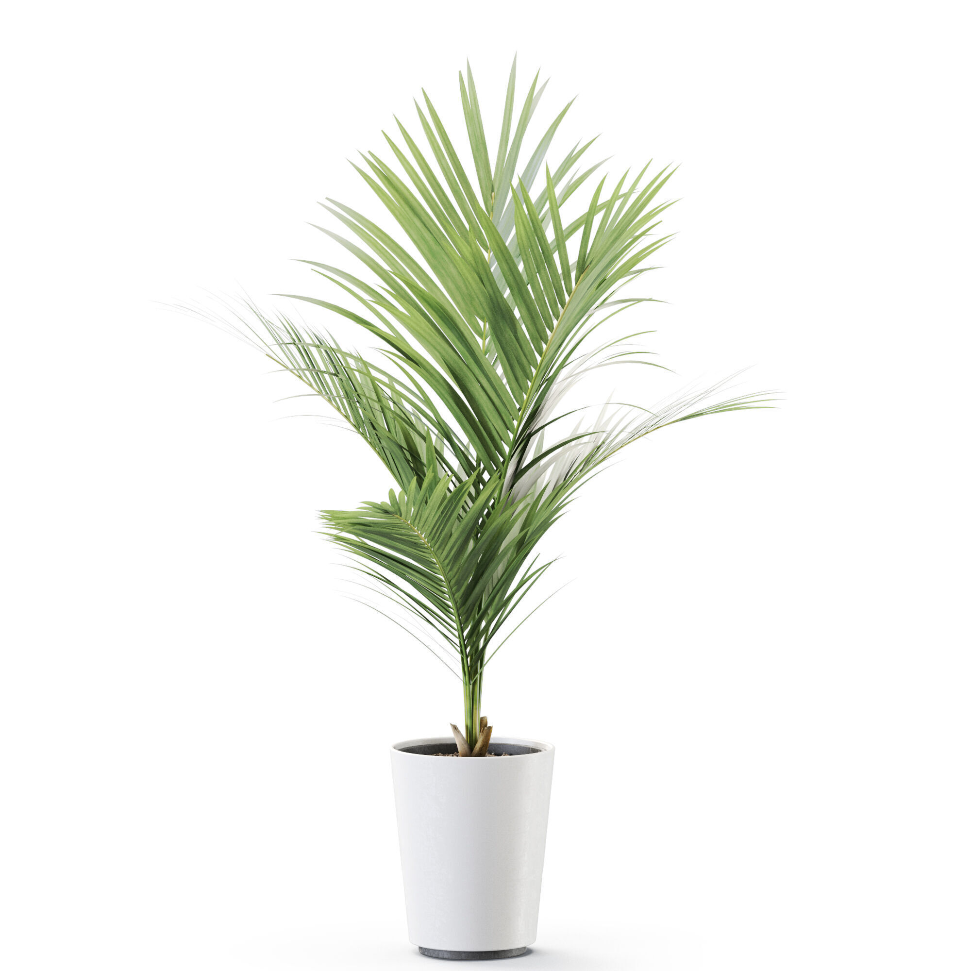 Plant 1250 3D model_1