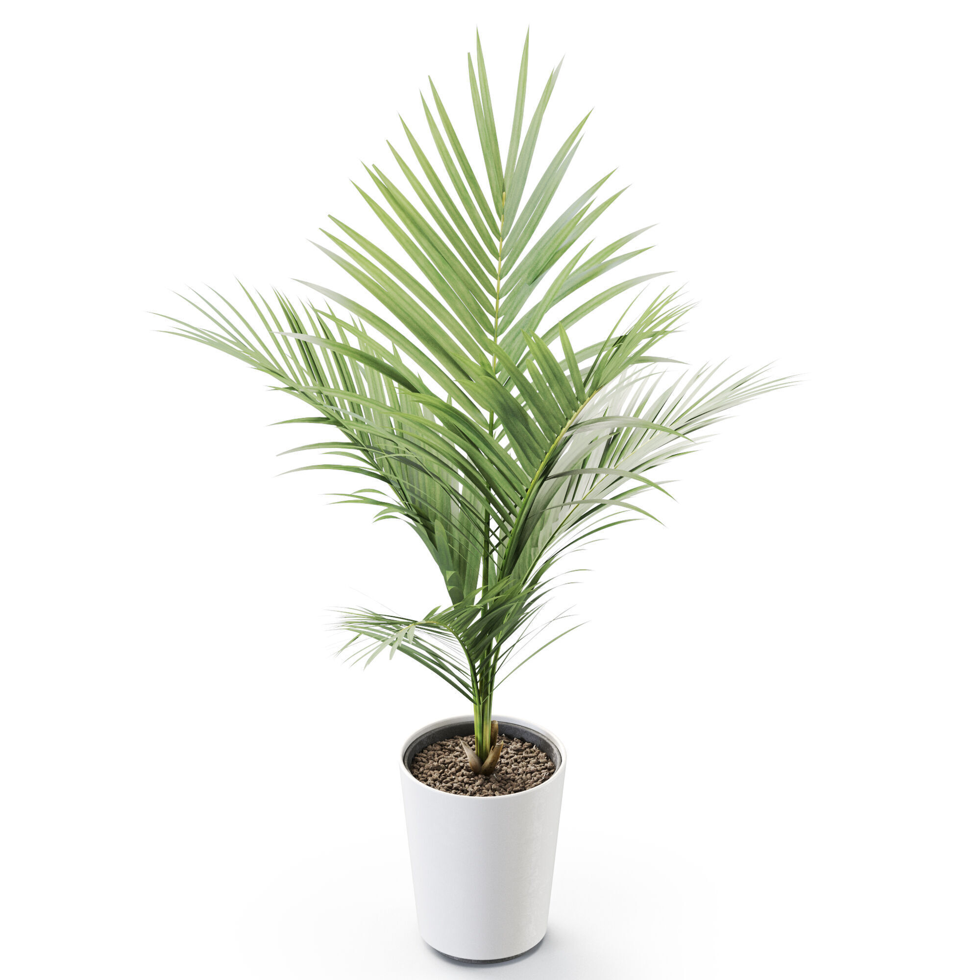 Plant 1250 3D model_3