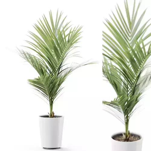 Plant 1250 3D model