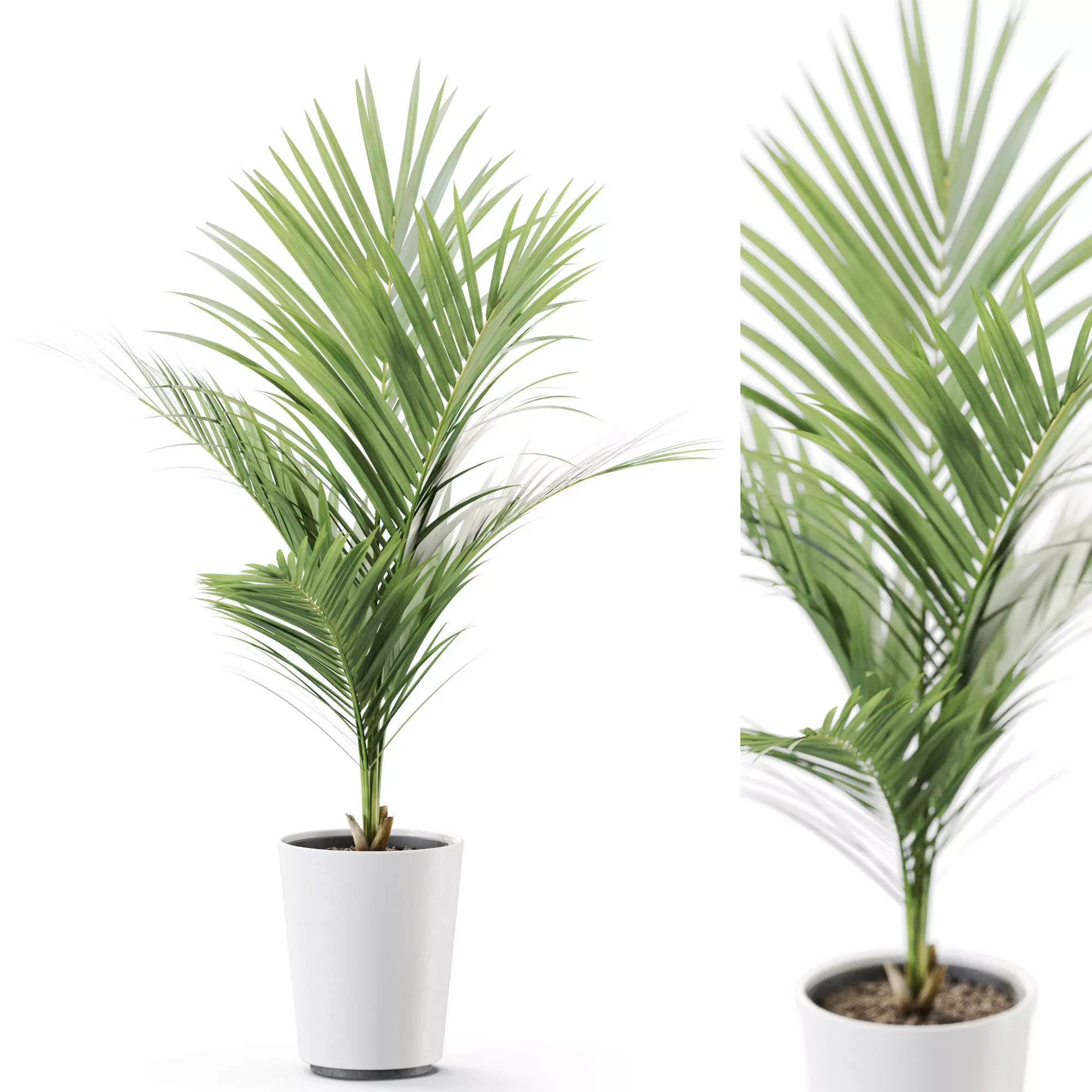 Plant 1250 3D model_0