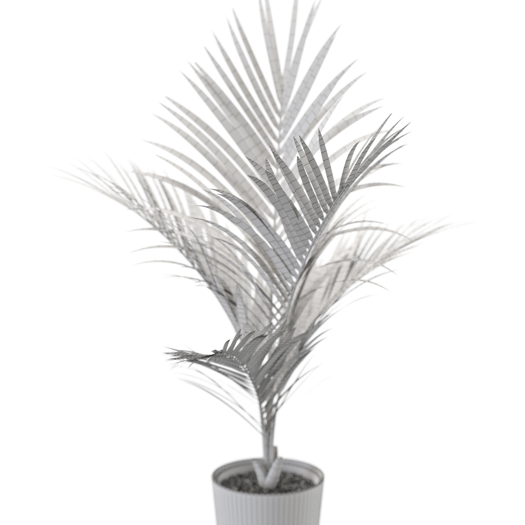 Plant 1250 3D model_5