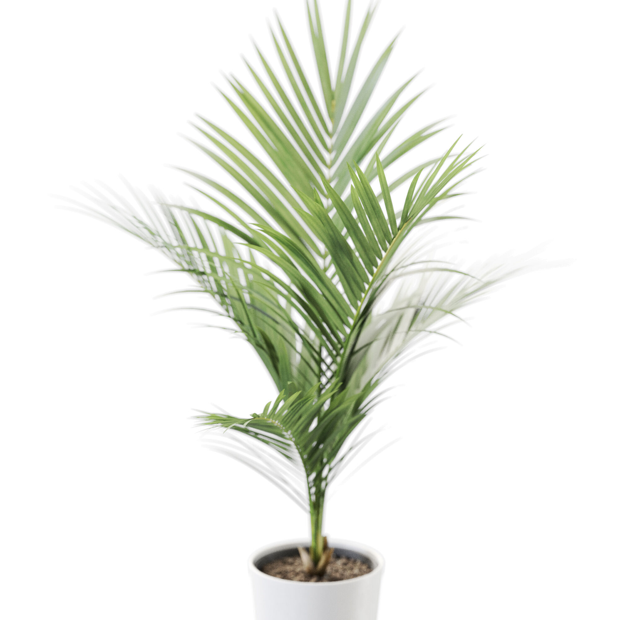 Plant 1250 3D model_2