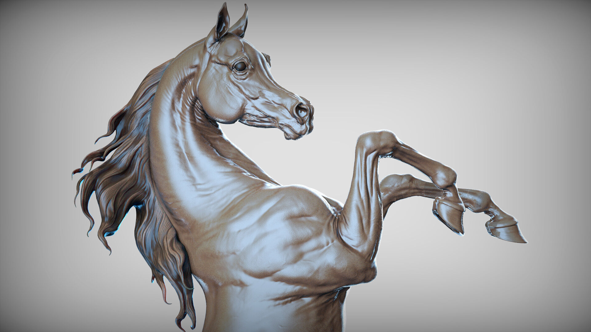 Rearing Arabian horse - 3D Sculpting 3D print model_14