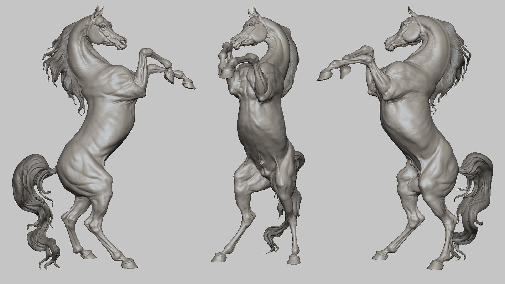 Rearing Arabian horse - 3D Sculpting 3D print model_4