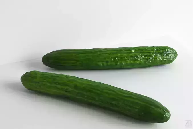 Cucumber