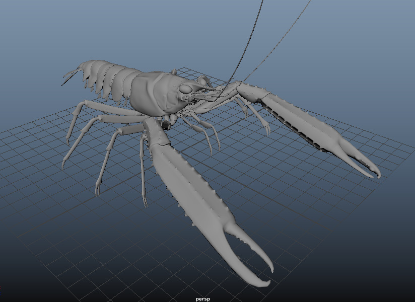 Nephrops norvegicus 3D Model Free 3D model_5