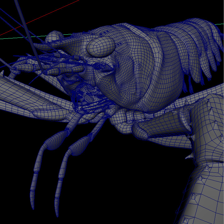 Nephrops norvegicus 3D Model Free 3D model_6