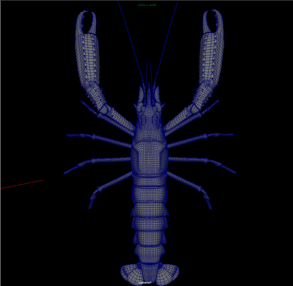 Nephrops norvegicus 3D Model Free 3D model_7