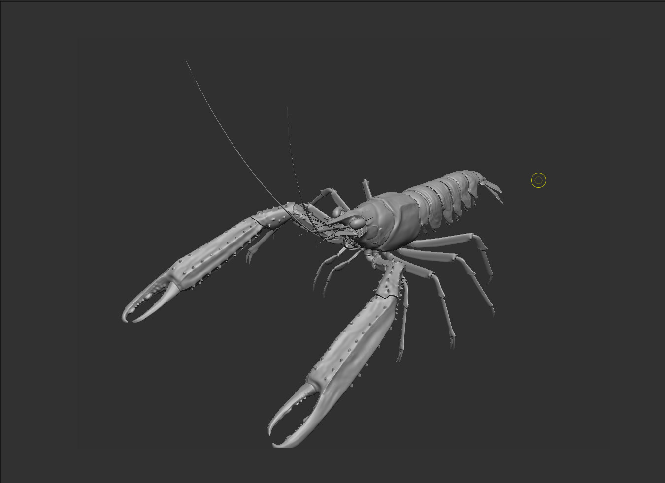 Nephrops norvegicus 3D Model Free 3D model_9