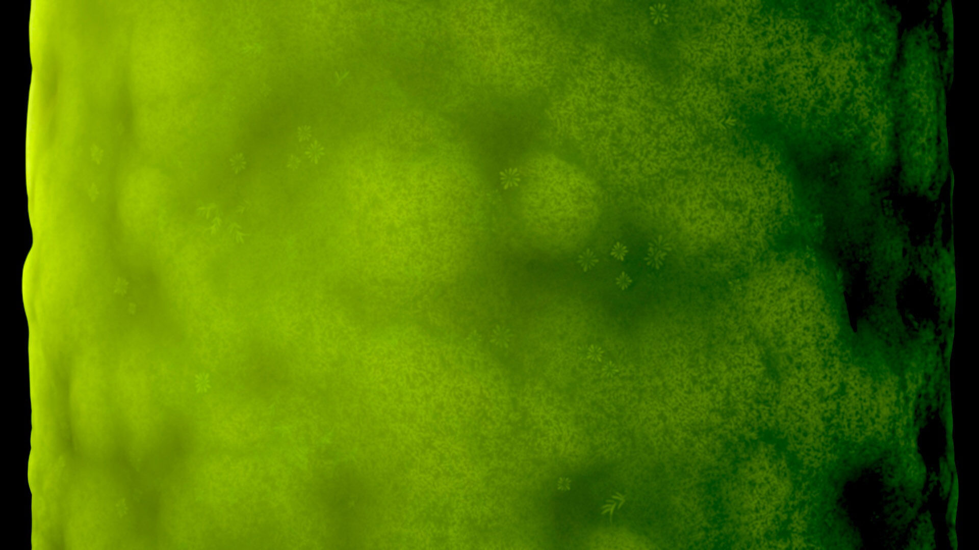 Stylized Moss PBR Substance material and textures SBS SBSAR Texture_2