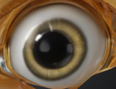 Biblically accurate angel 3d model 3D model_5