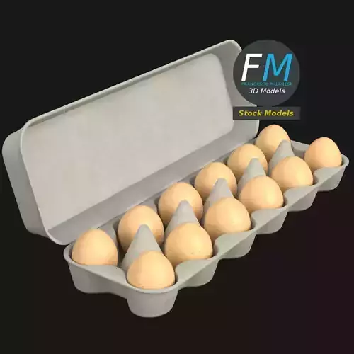 Cardboard package for 12 eggs