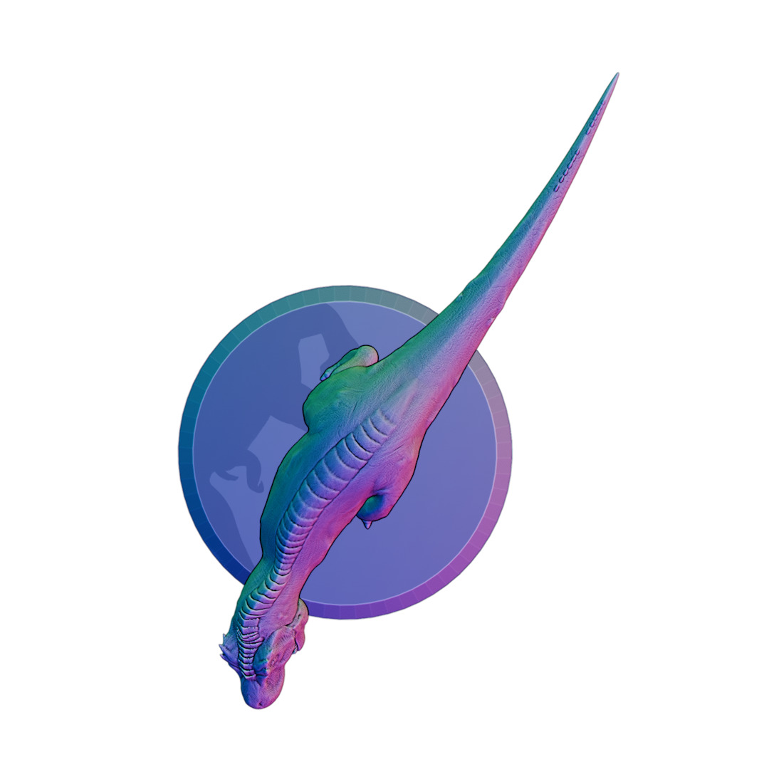 3D Printable Tyrannosaurus Rex Miniature 3D print model_5