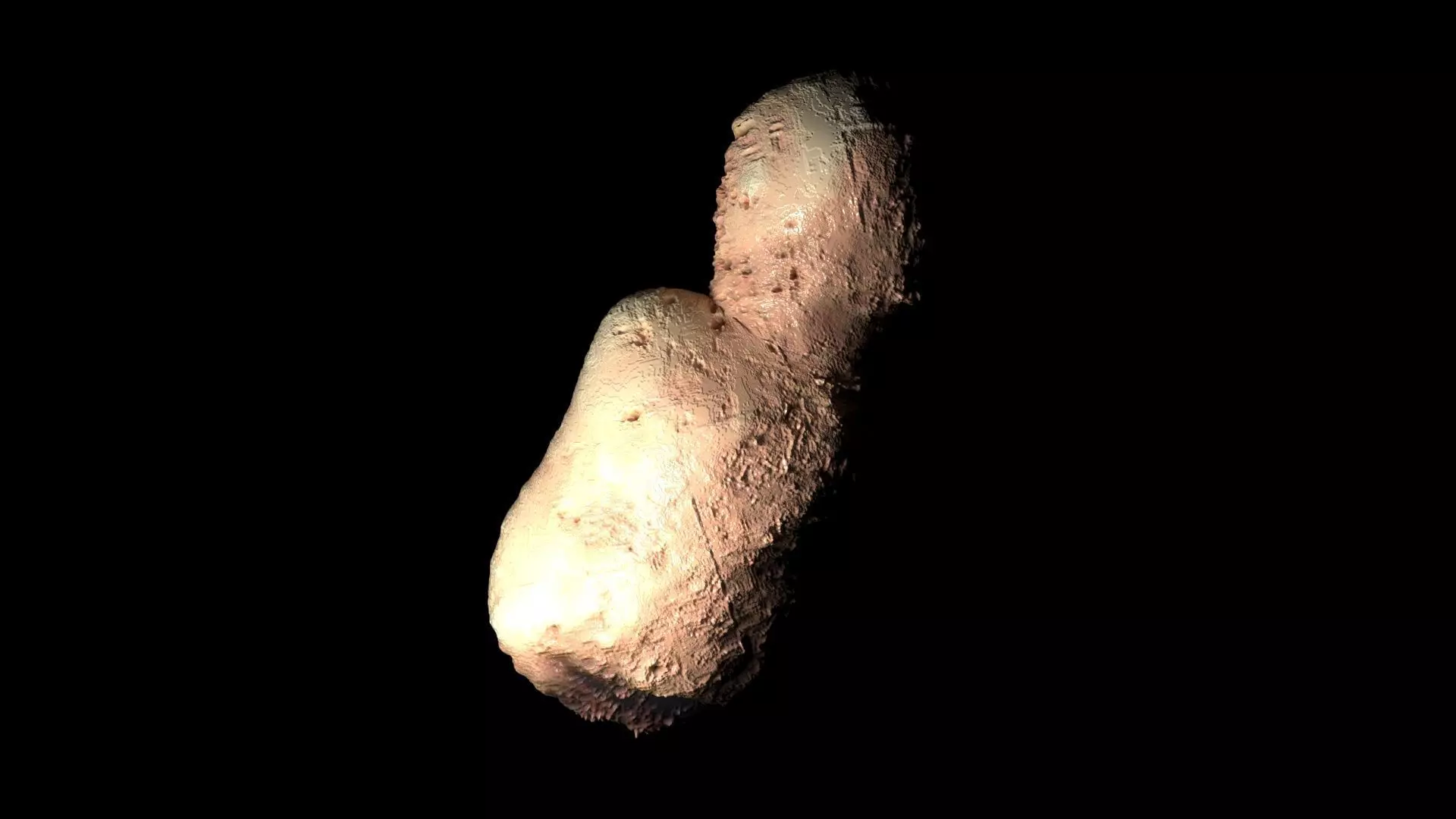 4179 Toutatis Asteroid 3D model_0