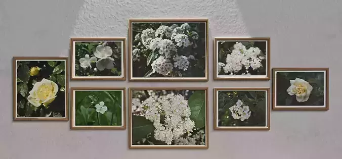 Wall Photo Frame Set with Nature Photography