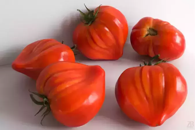 Tomato 3D model