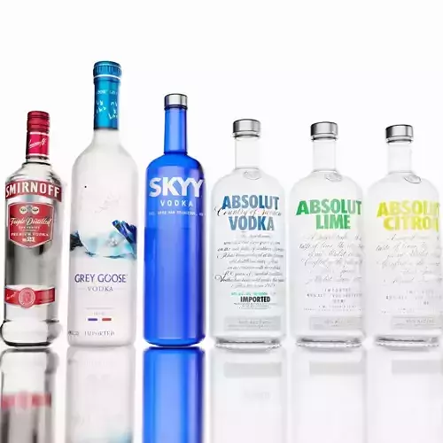Vodka Alcohol Bottles Absolut Skyy Smirnoff Grey Goose