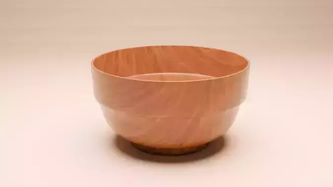 Japanese Miso Soup Bowl 