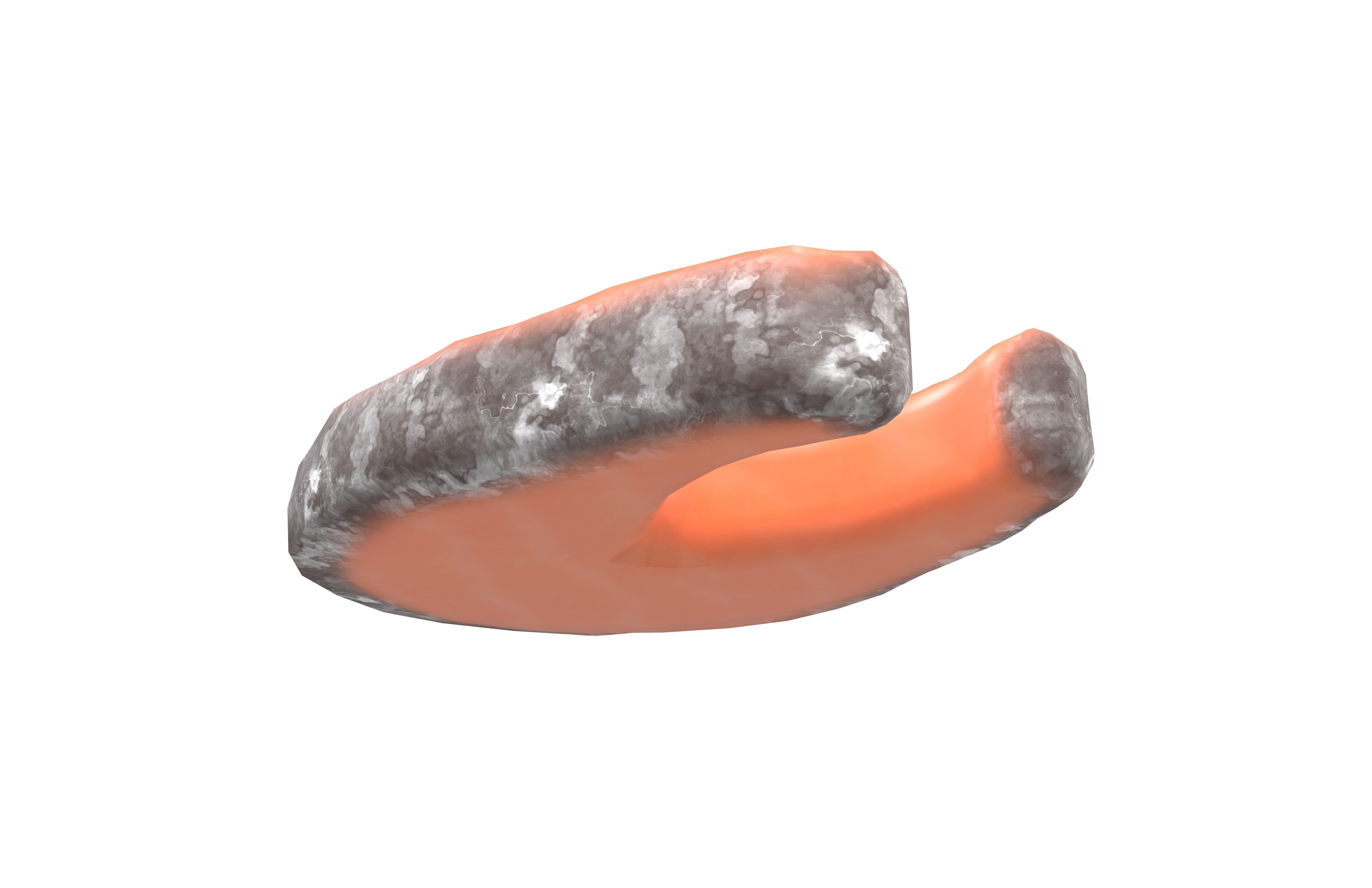 Salmon Steak v1 001 Low-poly 3D model_3