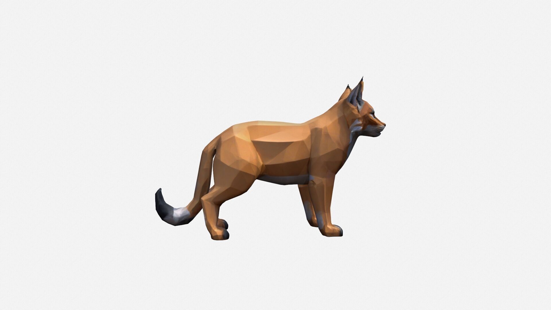 3d Render The Lynx Is A Medium-sized Wild Cat 3D model_4