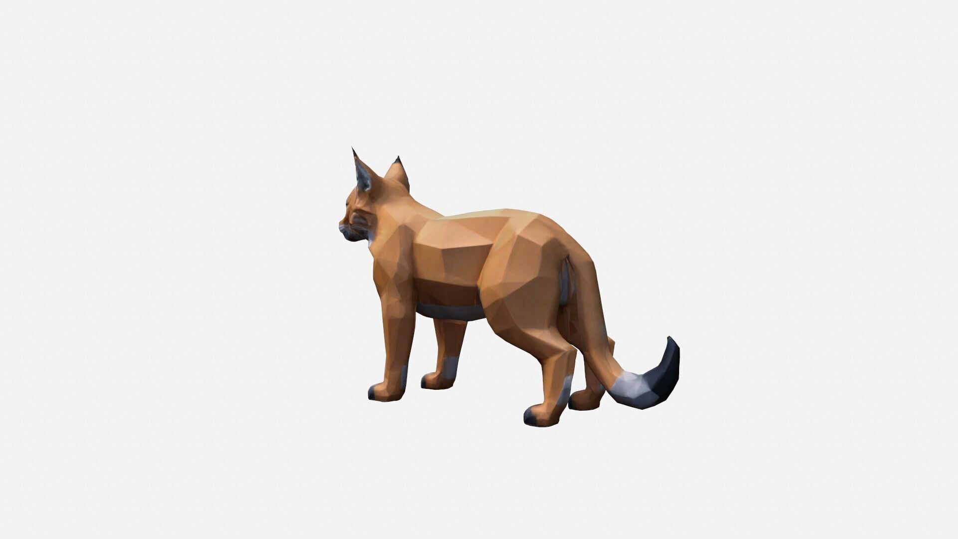 3d Render The Lynx Is A Medium-sized Wild Cat 3D model_3