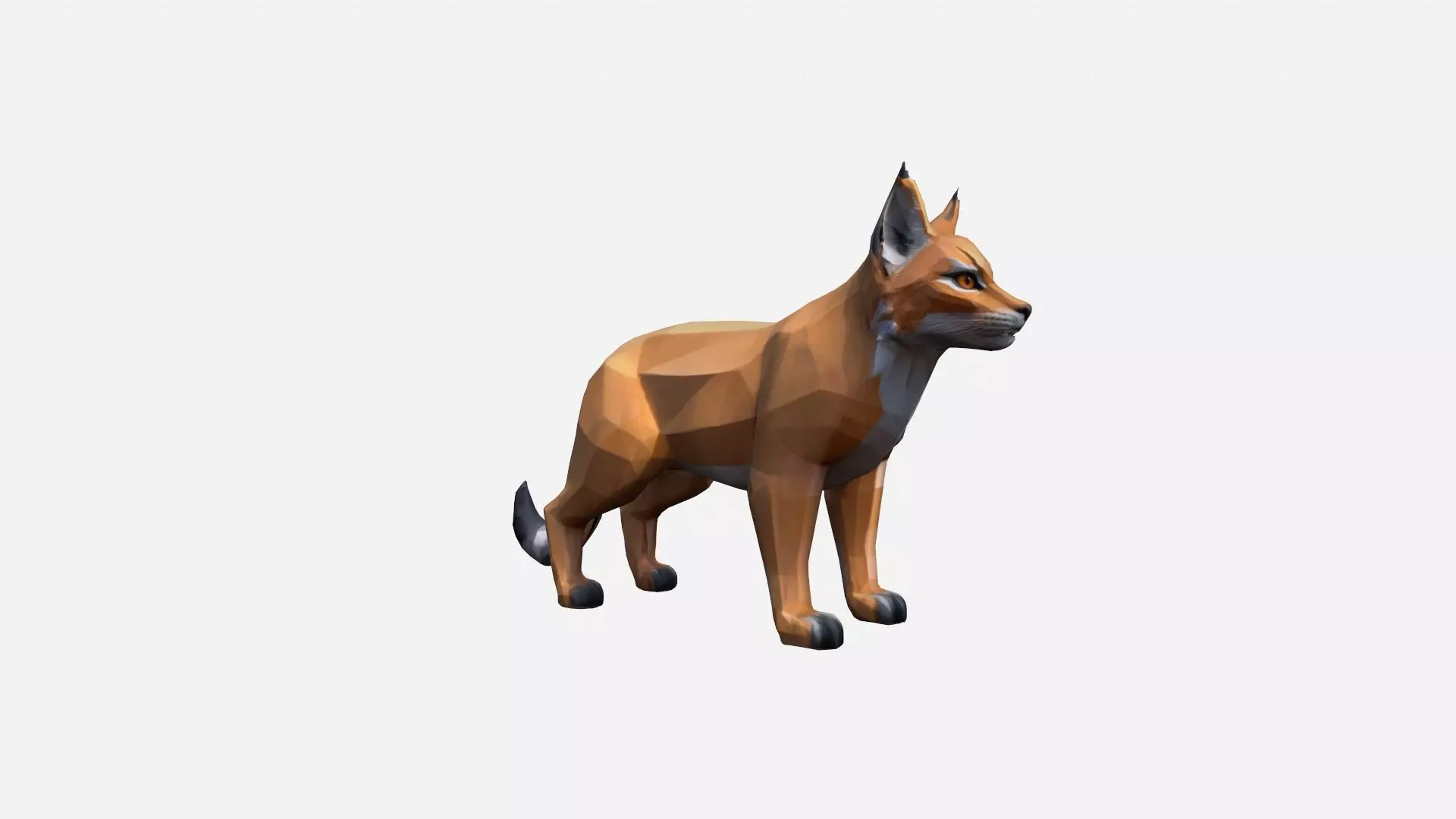3d Render The Lynx Is A Medium-sized Wild Cat 3D model_0