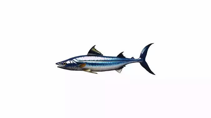 3d Render Mackerel Fish Living In Tropical Oceans