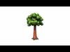 3d Render redwood tree collection 3D model_1