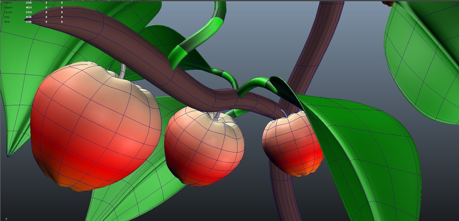 Apple plant 3D model_10
