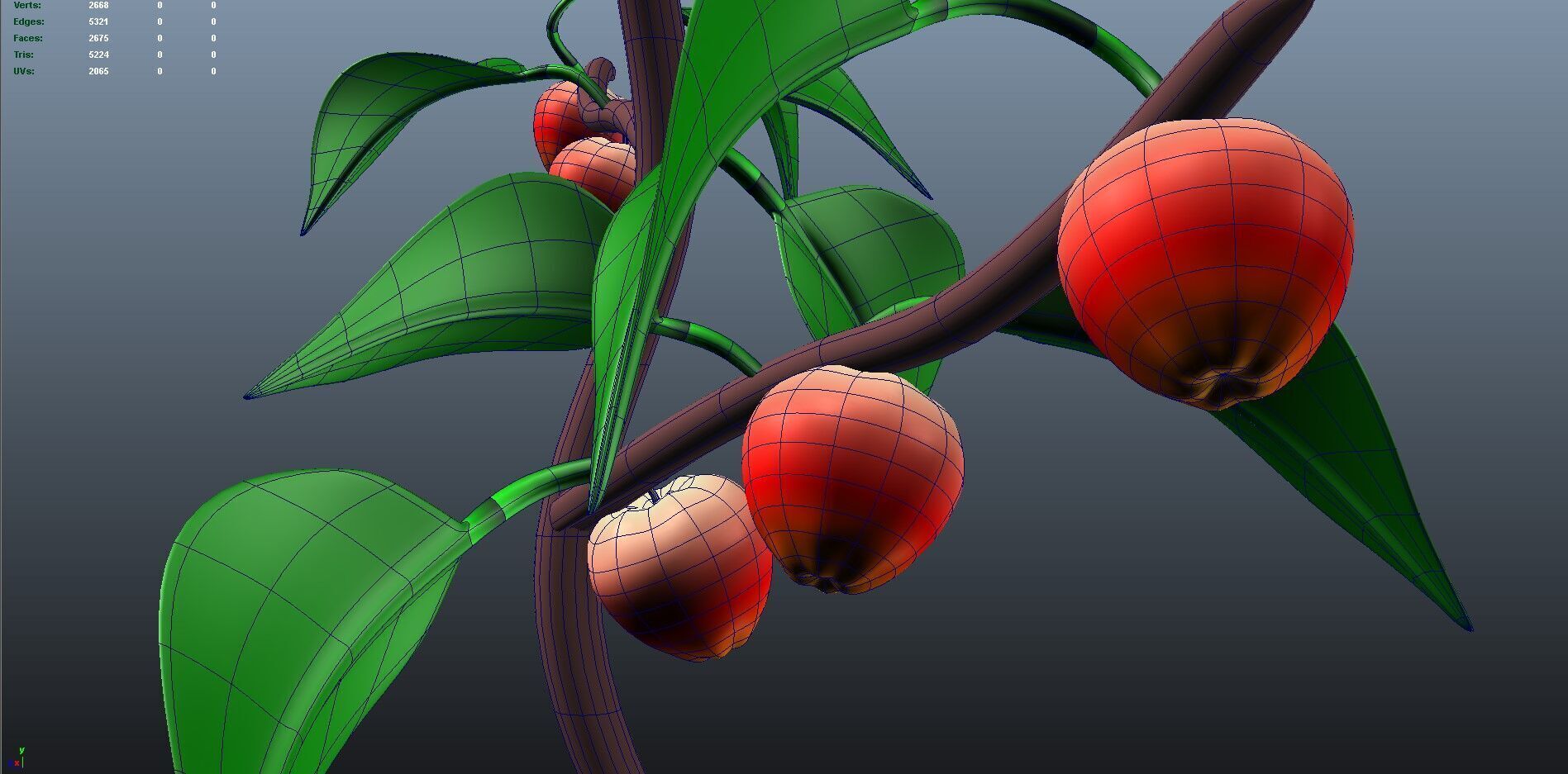 Apple plant 3D model_8