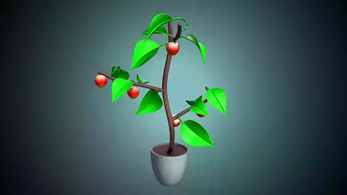 Apple plant