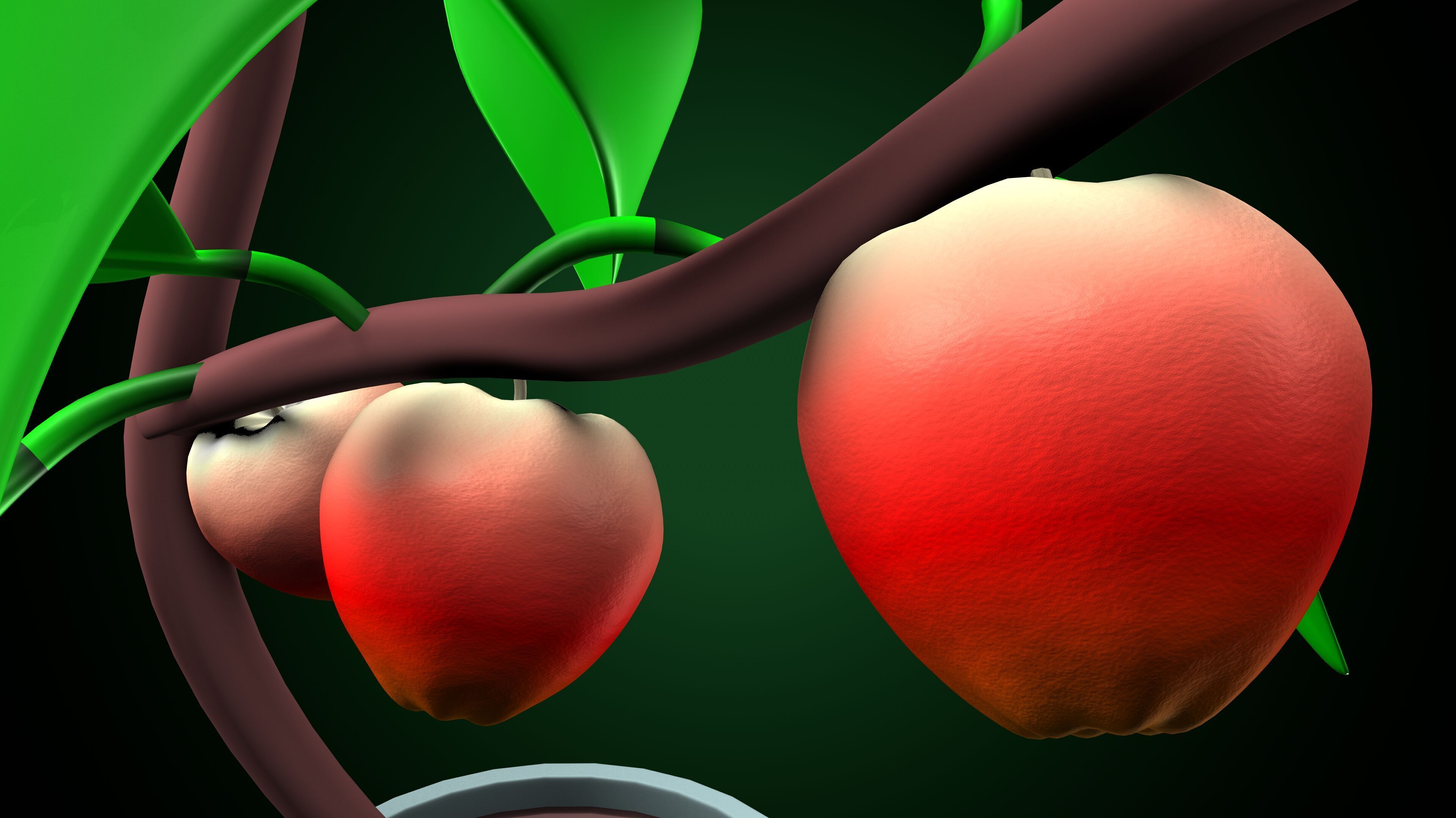 Apple plant 3D model_5