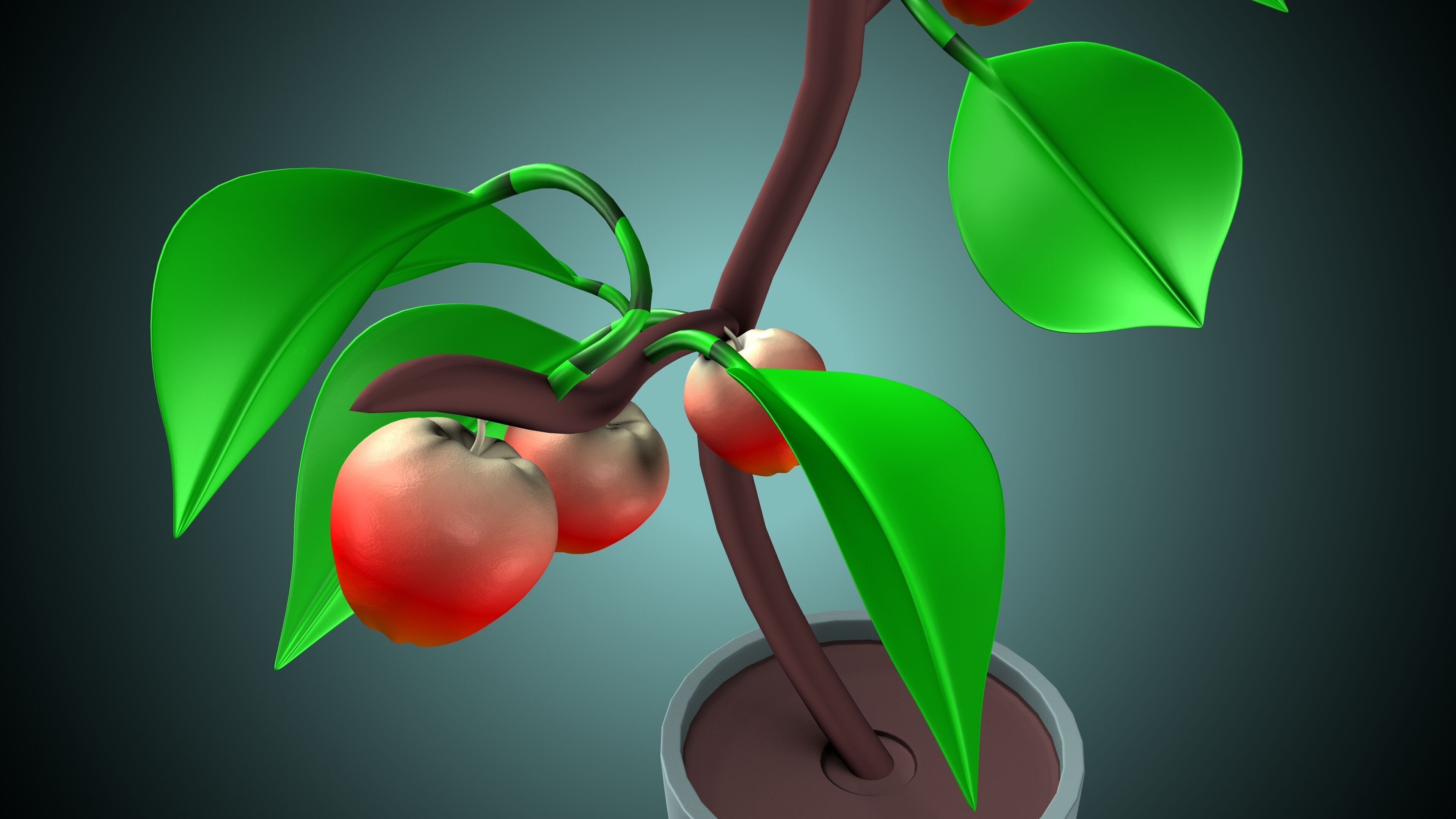 Apple plant 3D model_2