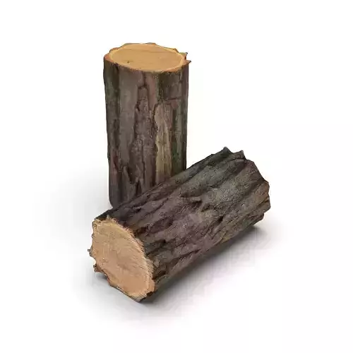 Piece of wood - Locust Tree 3D model