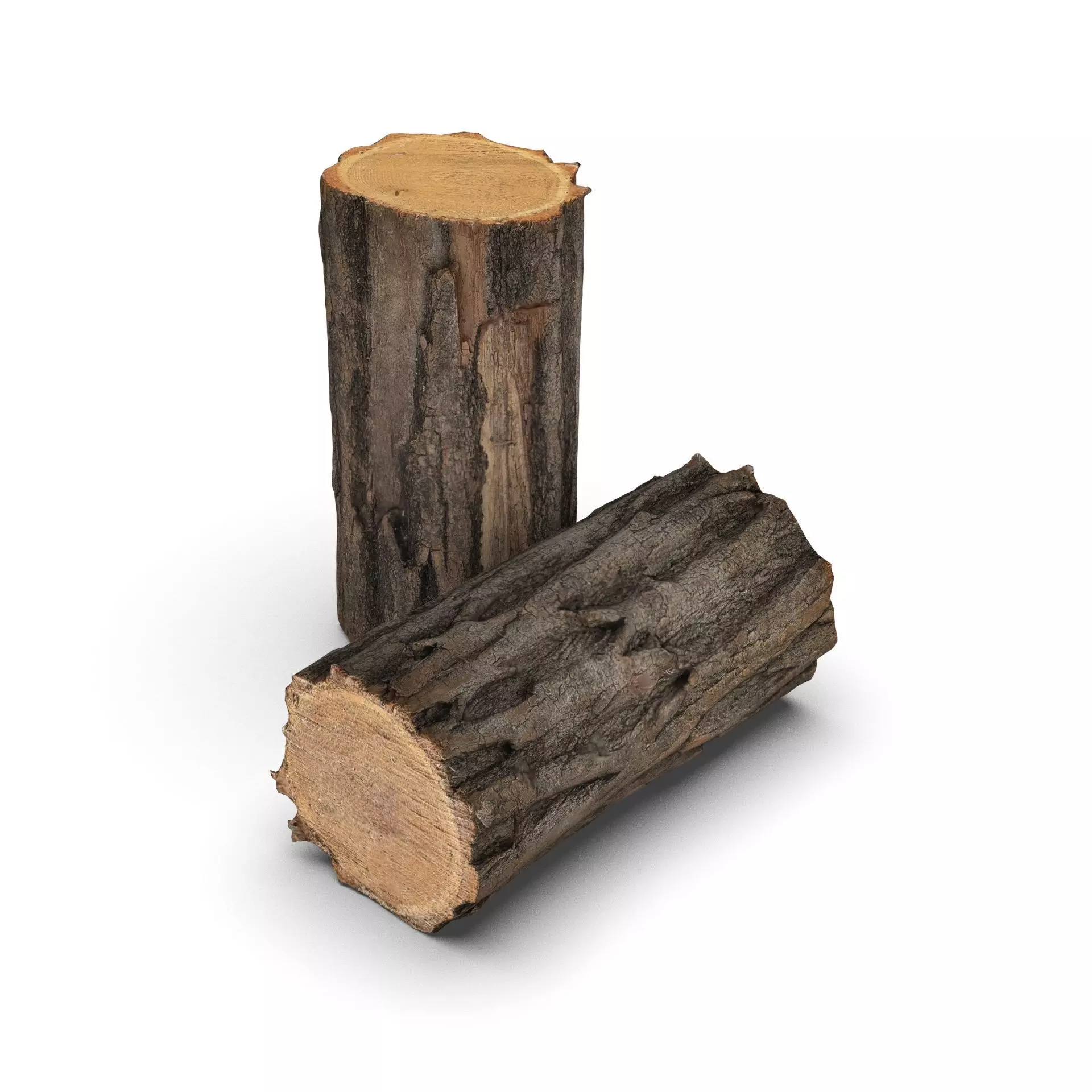 Piece of wood - Locust Tree 3D model