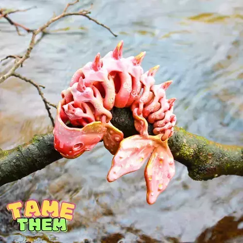 articulated fish toy turtle  print in place flexy