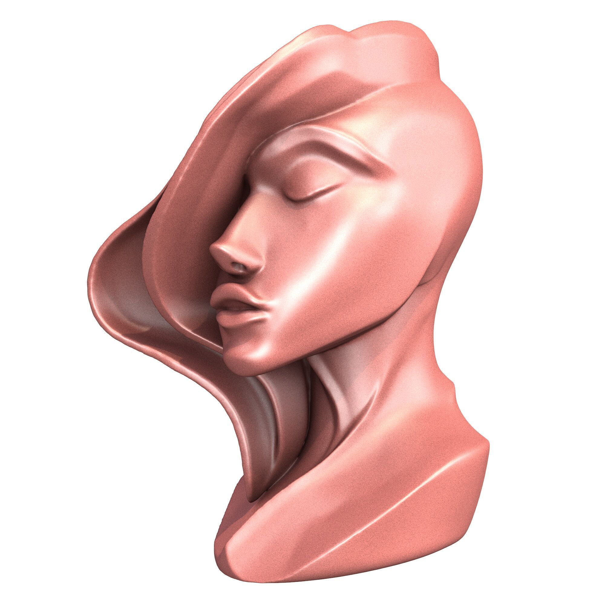 Abstract Woman Portrait Sculpture 3D print model_1