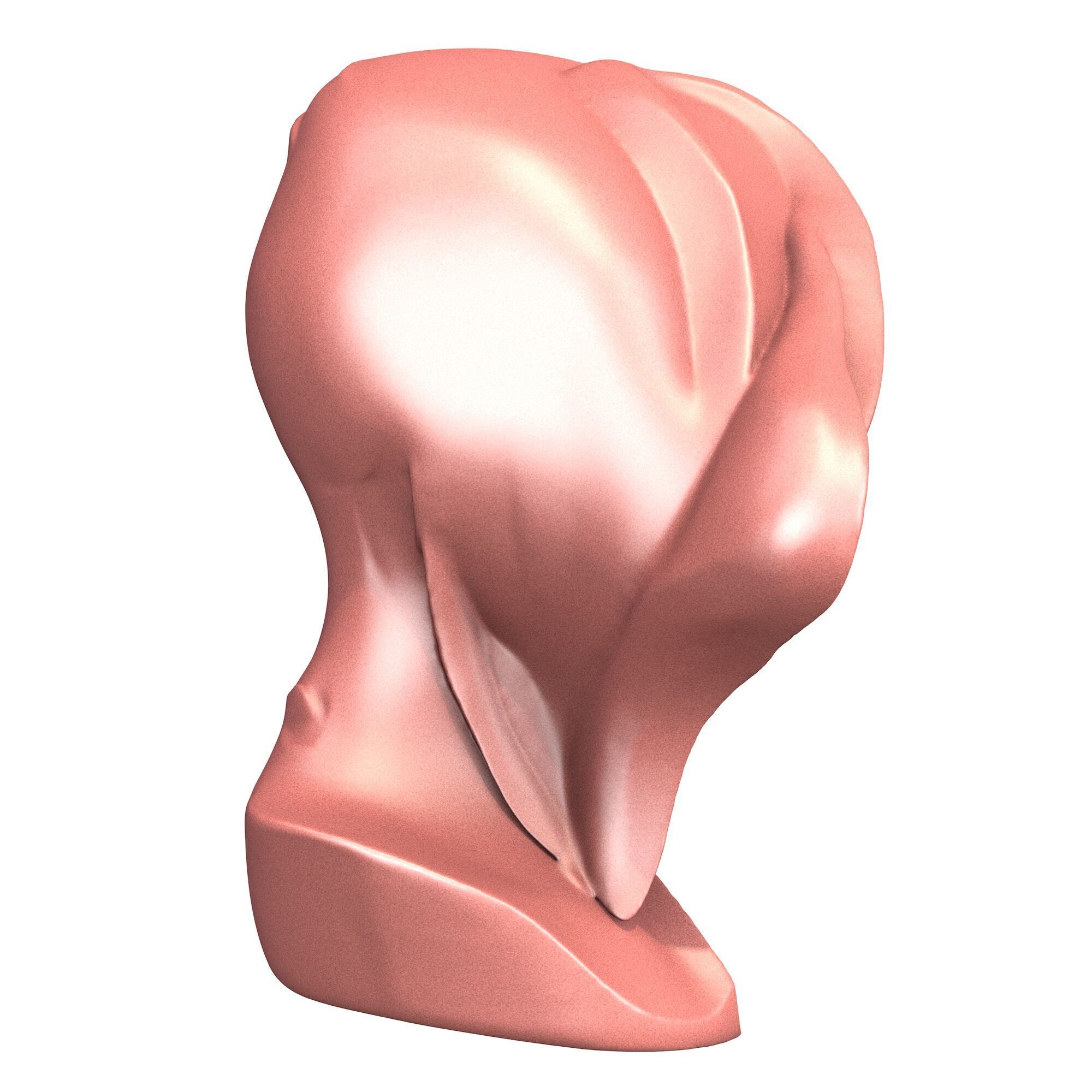 Abstract Woman Portrait Sculpture 3D print model_4