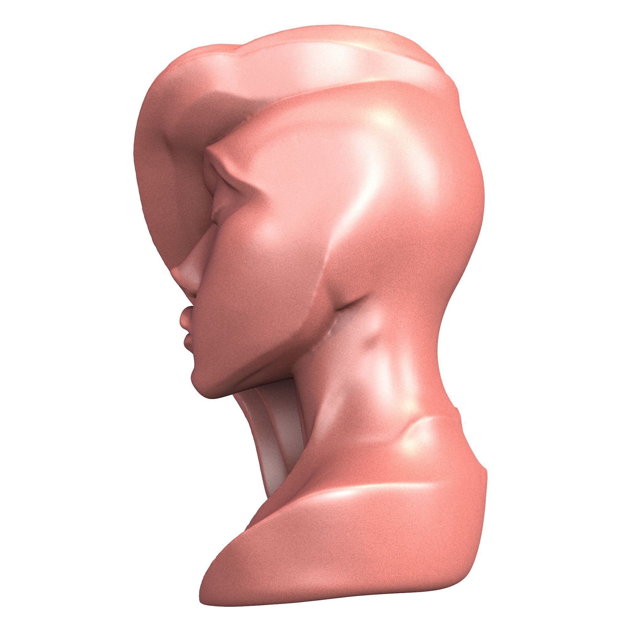 Abstract Woman Portrait Sculpture 3D print model_2